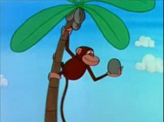 małpa na palmie
