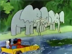 słonie na safari